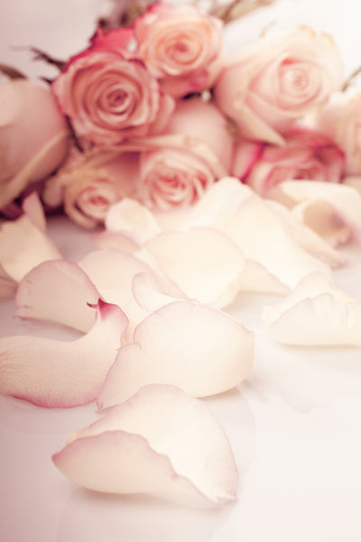 poster-print-soft-rose-petals