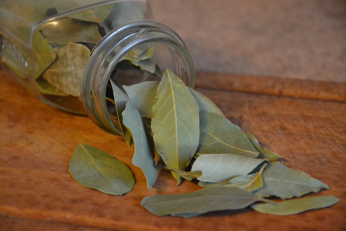 framedcanvas-print-bay-leaves