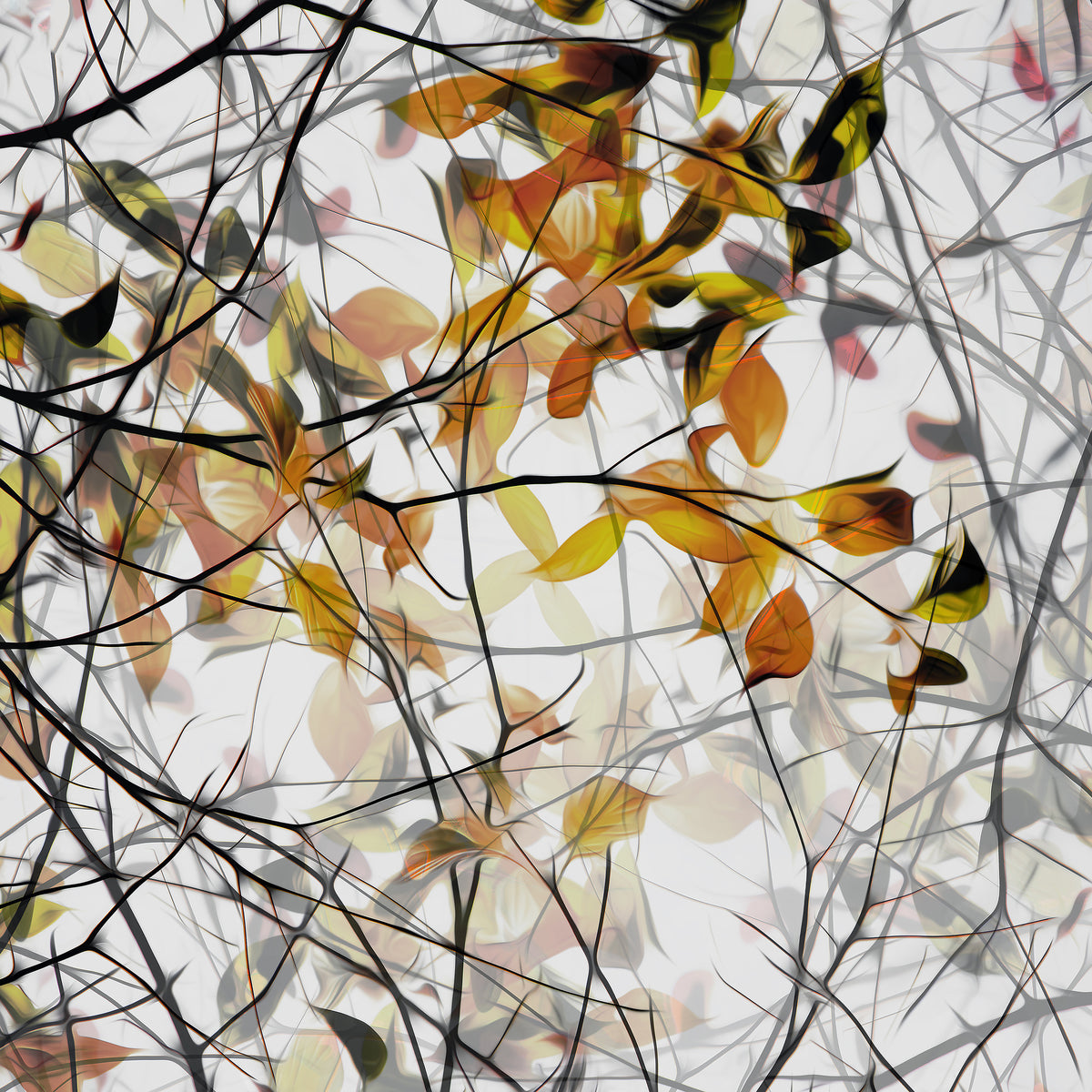 aluminium-print-autumn-song