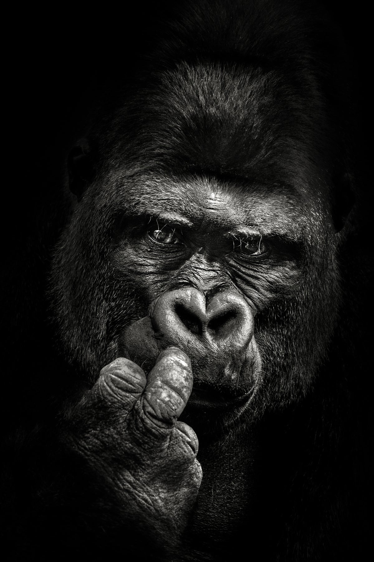 canvas-print-attitude-x