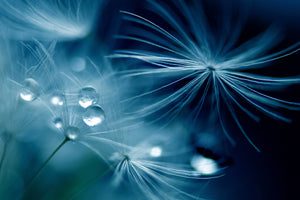 framedposter-print-soft-touch-x