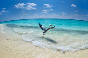 canvas-print-takeoff-x