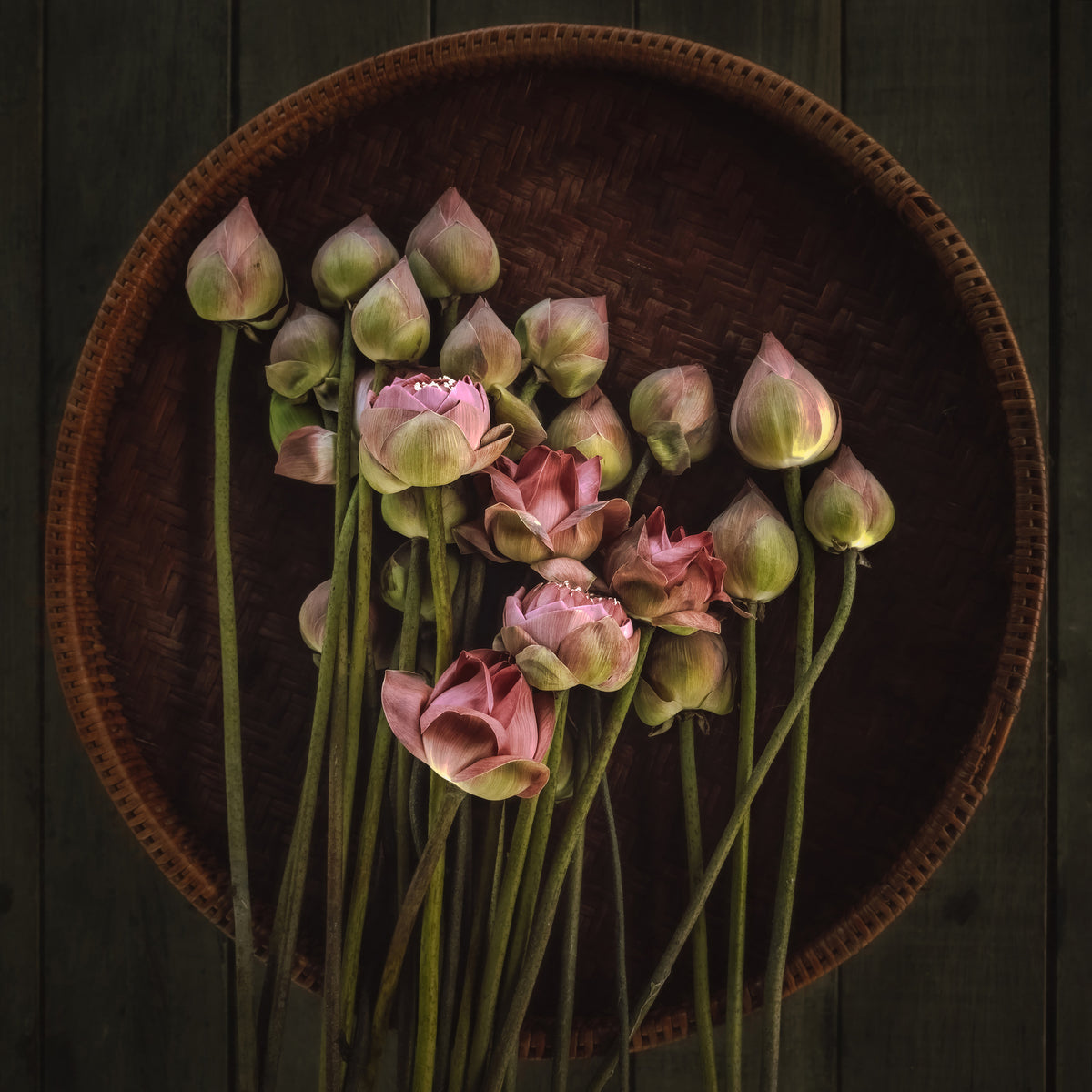 9-piece-acrylic-print-18no