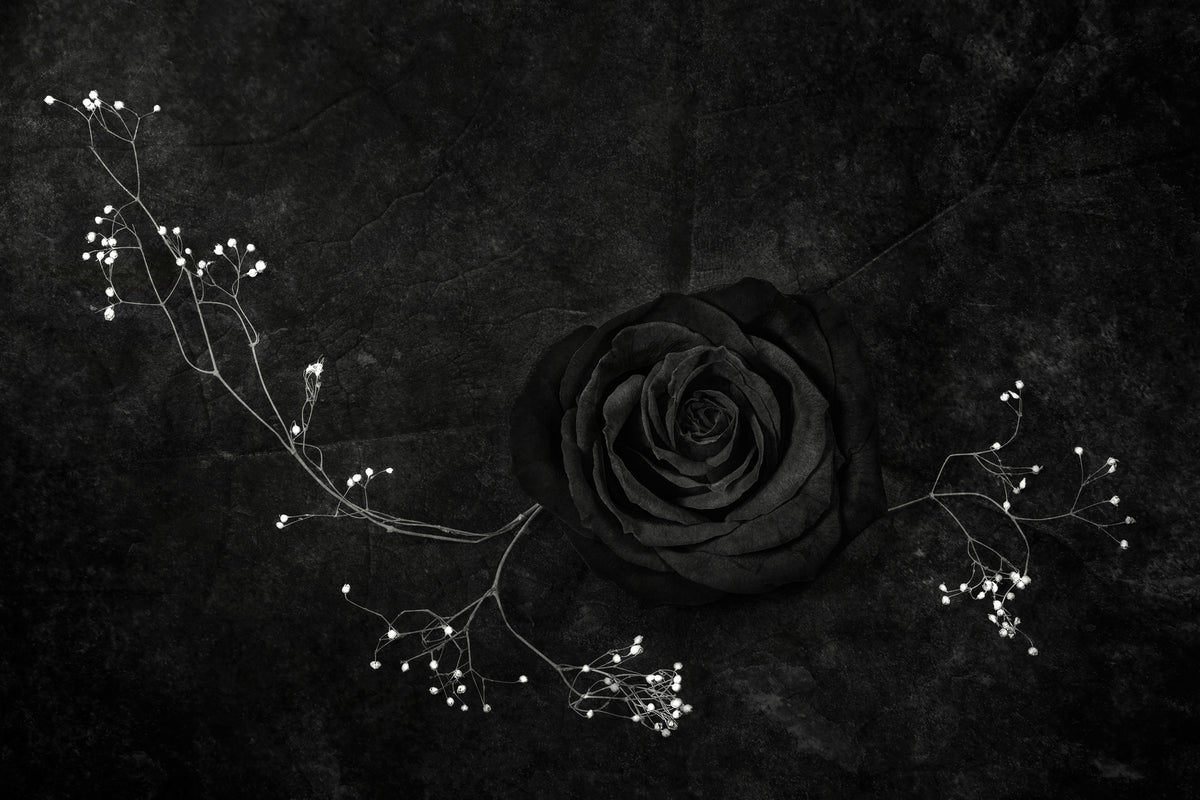 3-piece-aluminium-print-rose-noire