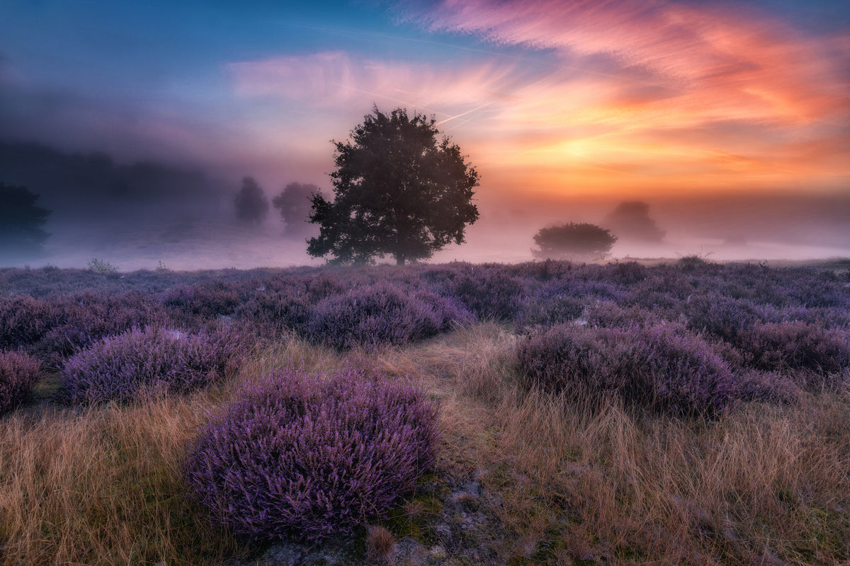 acrylic-print-qautumn-longingq-x