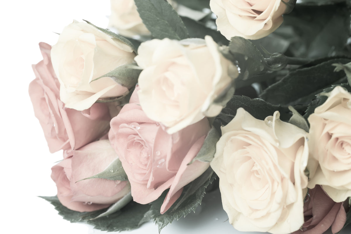 aluminium-print-romantic-rose