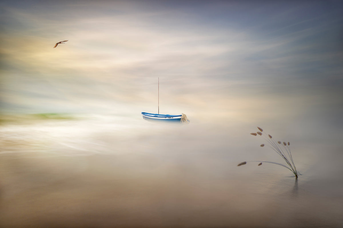poster-print-dreaming-of-the-sea-x