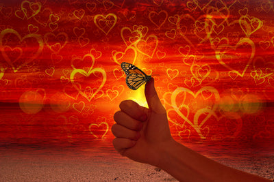 poster-print-the-butterfly-and-the-love