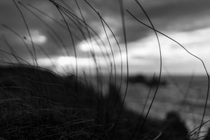 modern-3-piece-acrylic-print-the-wind-brings-the-night