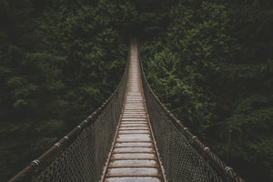 canvas-print-exciting-bridge