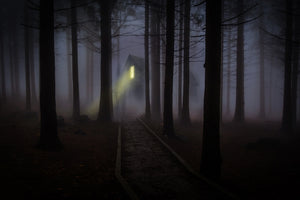 3-piece-canvas-print-fog-in-the-forest