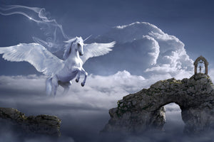 acrylic-print-pegasus
