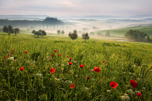poster-print-tuscan-spring