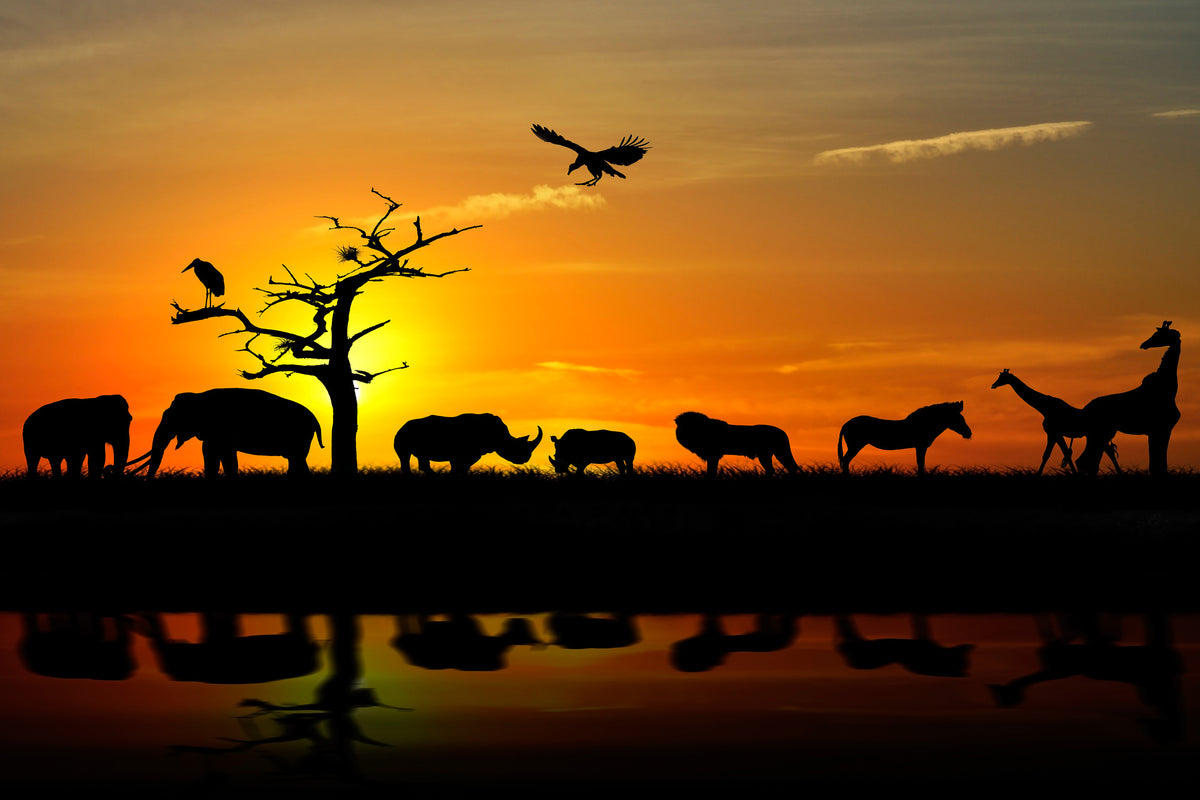 3-piece-canvas-print-safari-animals-at-sunset