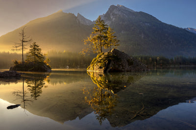poster-print-golden-morning-x