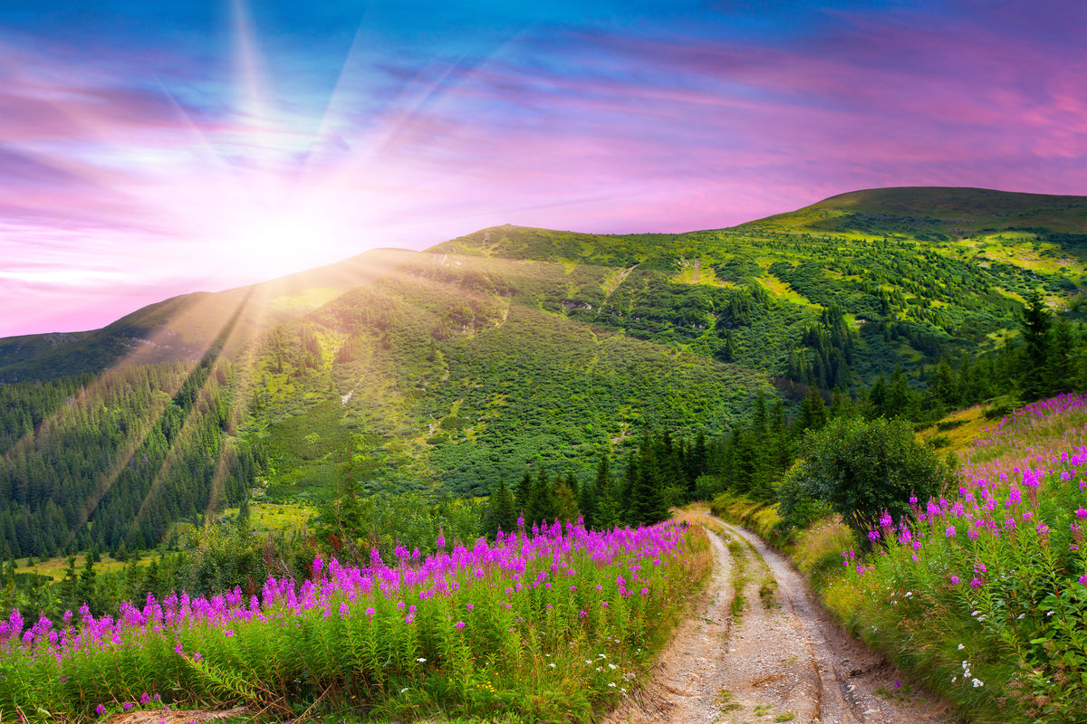 aluminium-print-a-summer-landscape-at-sunrise