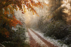 poster-print-frosty-fall-x