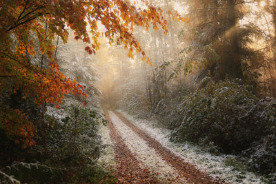 poster-print-frosty-fall-x