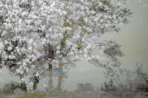 framedposter-print-spring-xep
