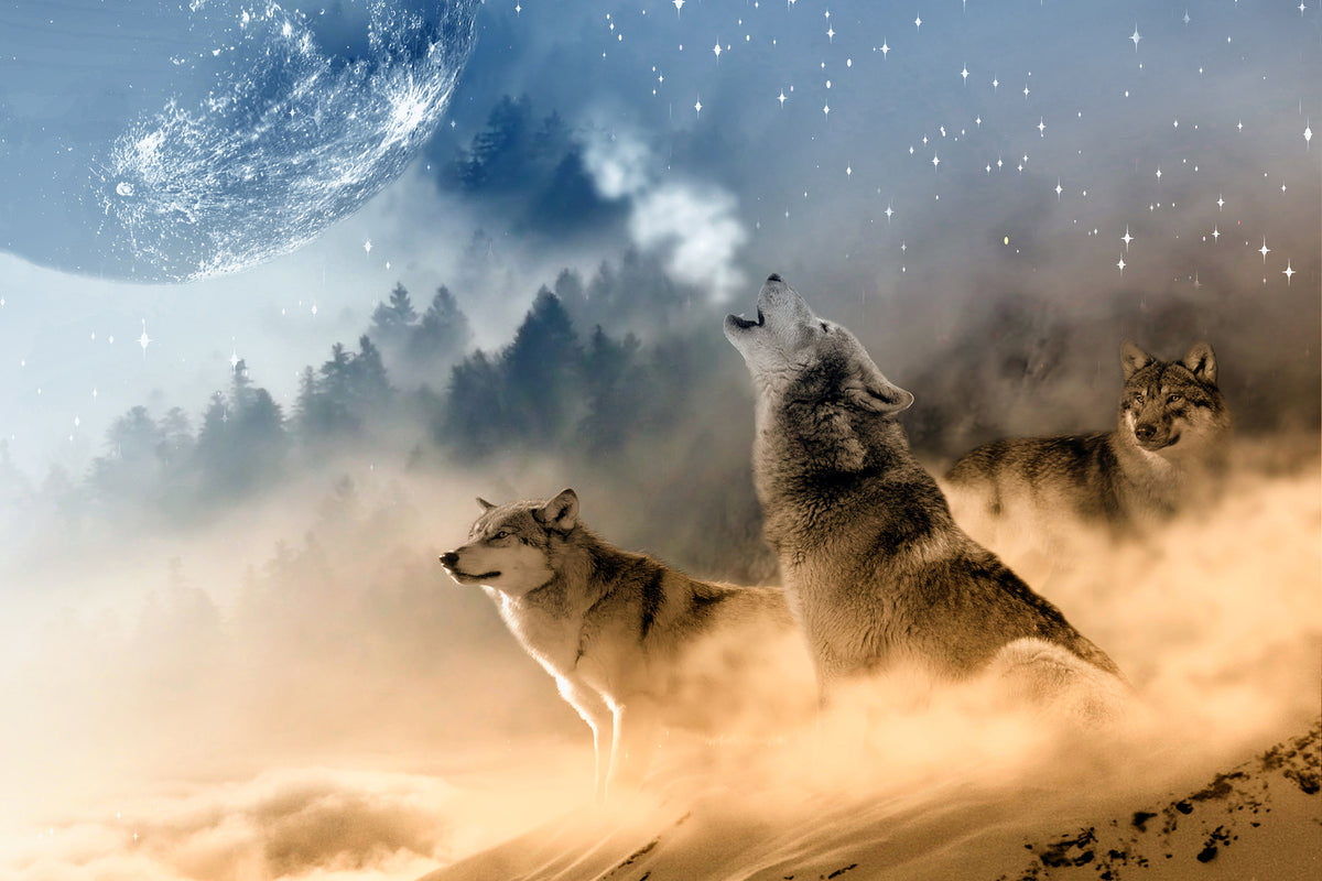 canvas-print-the-world-of-wolves