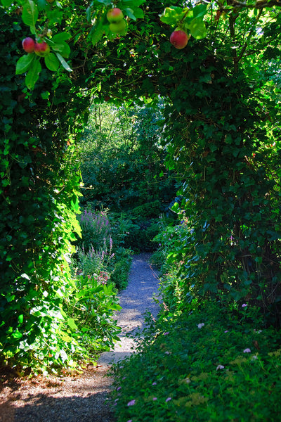 poster-print-in-paradise-garden