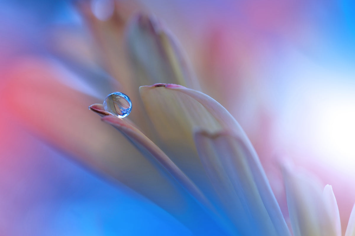 aluminium-print-touch-me-softly