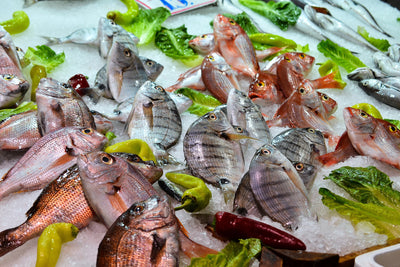 poster-print-raw-fish