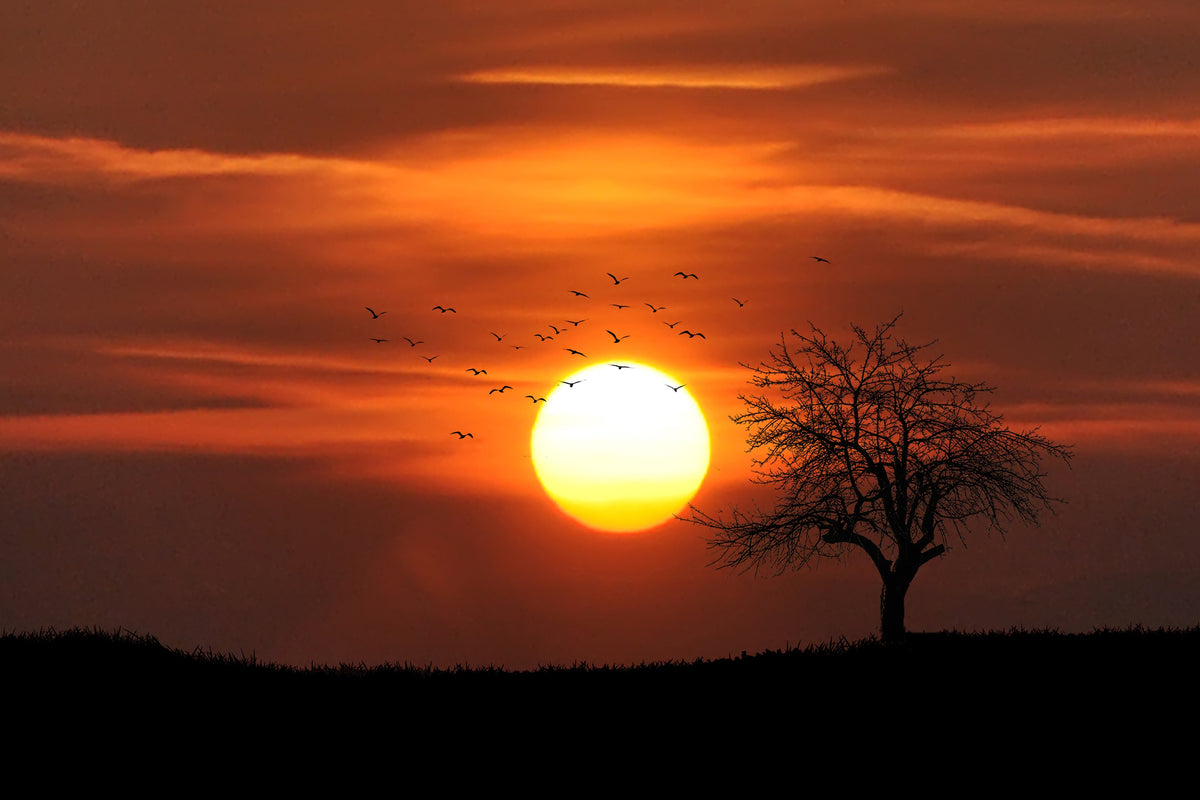 3-piece-canvas-print-the-sunset-on-the-horizon