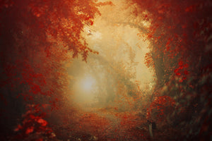 poster-print-personal-journey