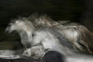 3-piece-canvas-print-into-the-dark