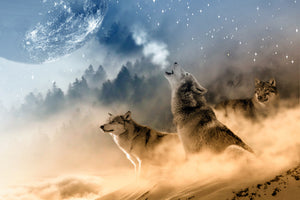 3-piece-aluminium-print-the-world-of-wolves