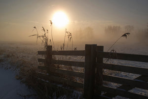 modern-3-piece-canvas-print-winter-mood