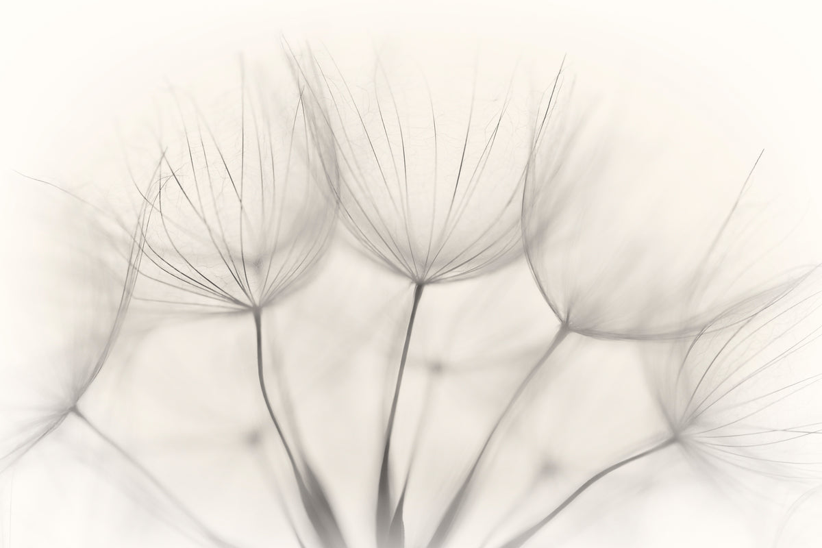 modern-3-piece-canvas-print-no-title