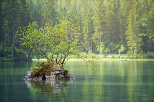 3-piece-aluminium-print-the-pond-in-the-forest