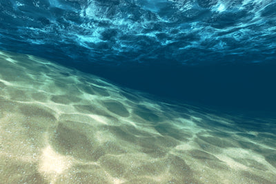 poster-print-under-the-water