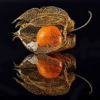 9-piece-canvas-print-physalis
