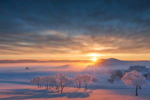 canvas-print-good-morning-xhq