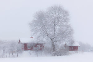 framedcanvas-print-winter-idyll-x