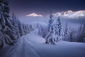 acrylic-print-in-the-winter-x