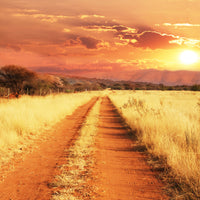 9-piece-acrylic-print-dusk-in-kenya
