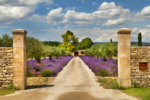 framedcanvas-print-lavender-garden