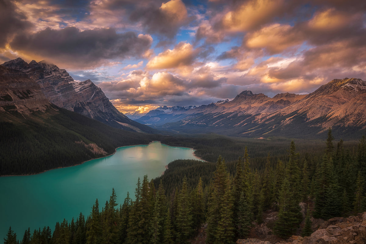 canvas-print-peyto-lake-at-dusk