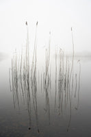 framedcanvas-print-silence