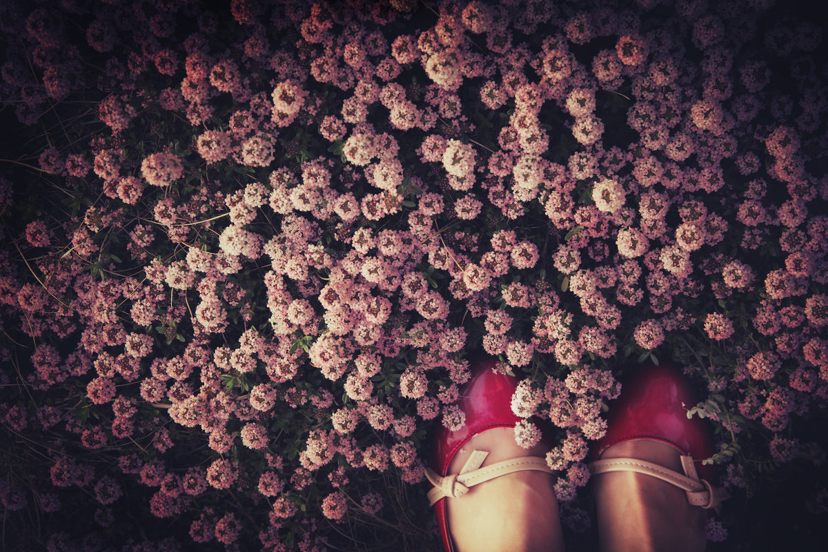 aluminium-print-thyme-carpet-x