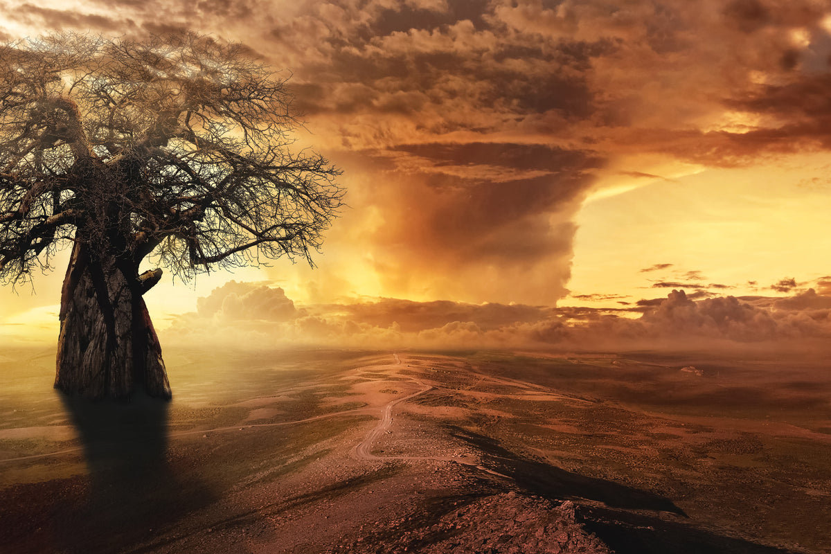 framedposter-print-cyclone-in-the-sunset