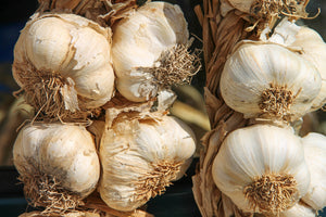 aluminium-print-the-garlic-xl