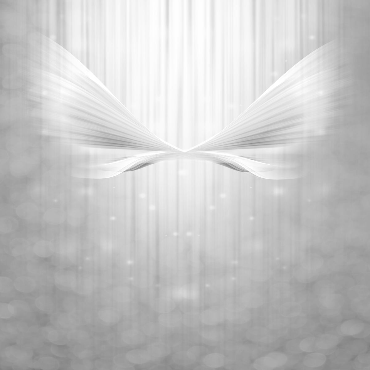 aluminium-print-angel-wings
