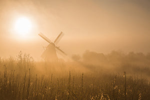 framedcanvas-print-golden-dawn-x