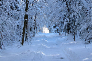 framedposter-print-finally-winter