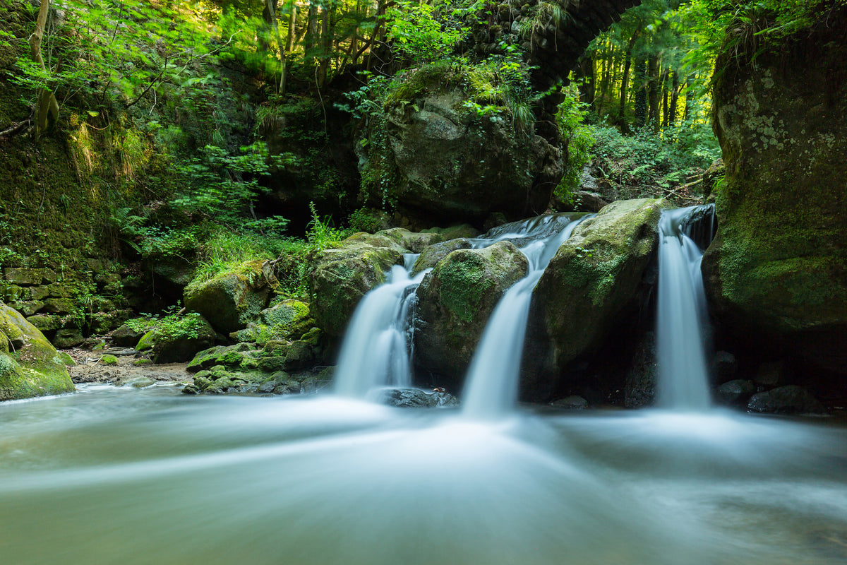 poster-print-falling-water-in-the-wood